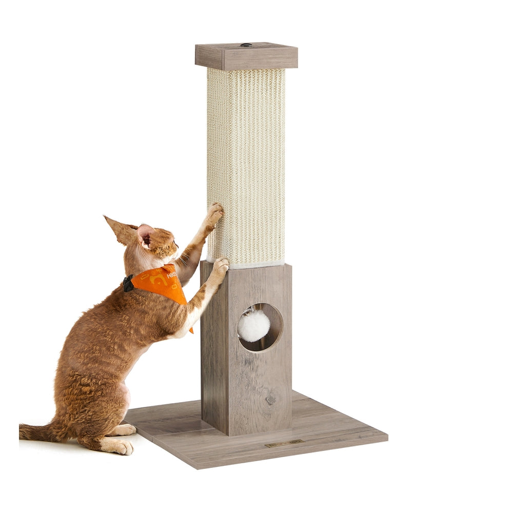 Drapak dla kota z naturalną liną i pluszową piłką