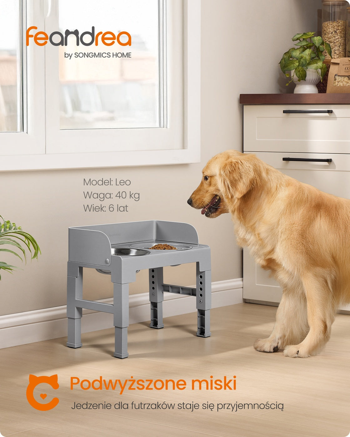 Regulowana podwyższona miska dla psa szara